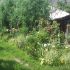 vara in gradina